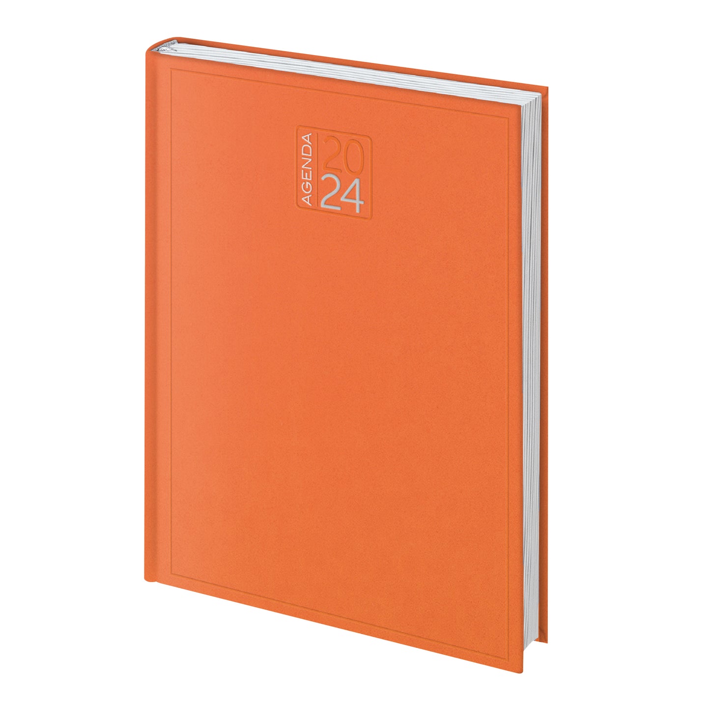 Agenda Giornaliera Personalizzabile BUNDLE 20 PEZZI